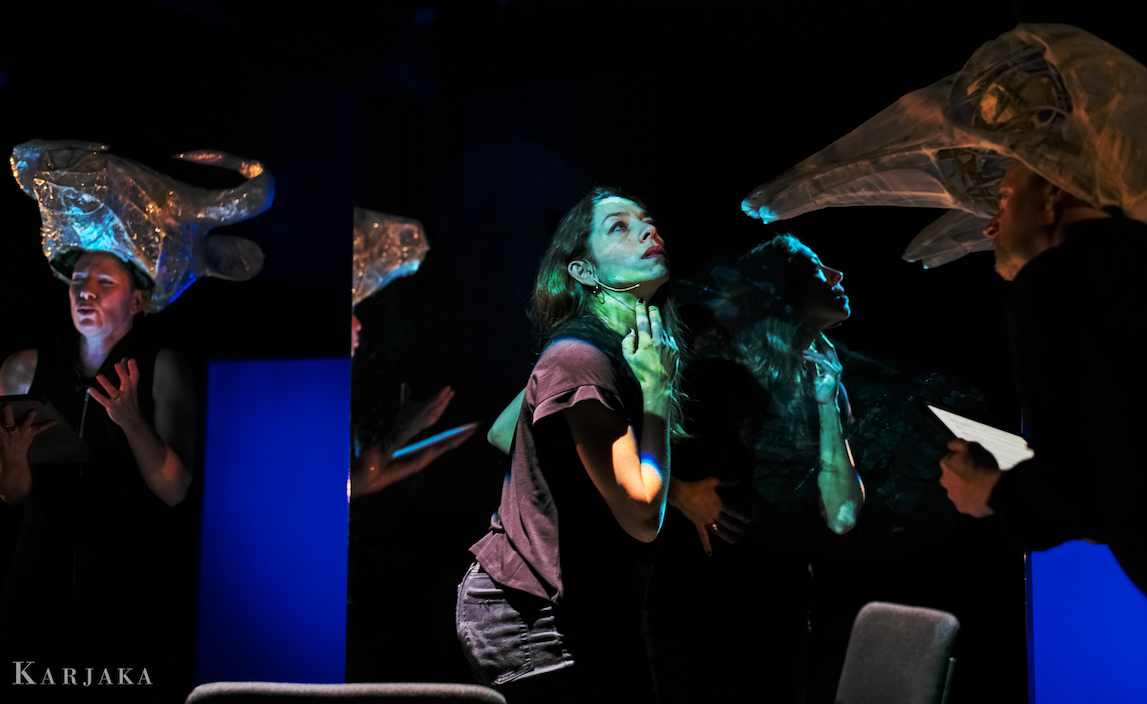 The Carmen Variations 4